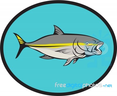 Yellowtail Kingfish Oval Cartoon Stock Image