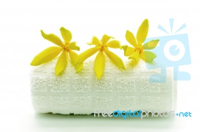 Ylang-ylang Flower Stock Photo