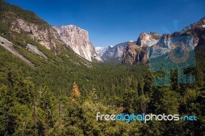 Yosemite Landscape Stock Photo