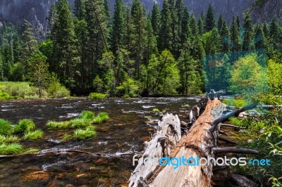 Yosemite Landscape Stock Photo