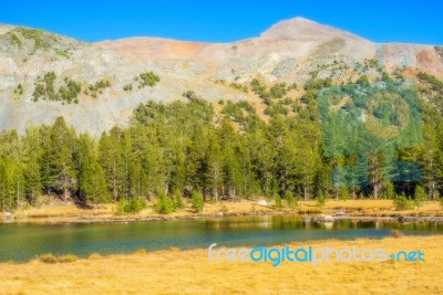 Yosemite National Park In California Stock Photo