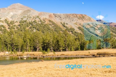 Yosemite National Park In California Stock Photo