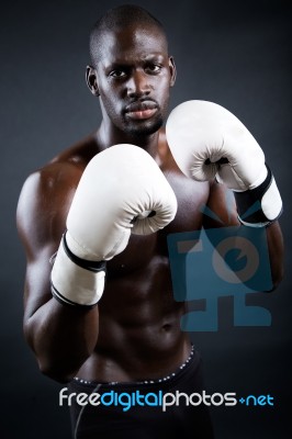 Young Athletic Boxer Wearing Gloves In Black Background Stock Photo