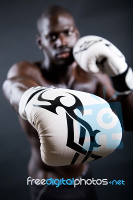 Young Athletic Boxer Wearing Gloves In Black Background Stock Photo