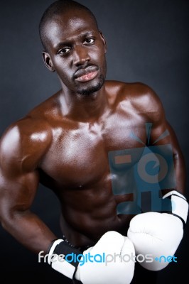 Young Athletic Boxer Wearing Gloves In Black Background Stock Photo