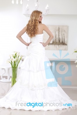 Young Beautiful Bride Stock Photo