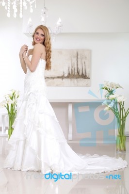 Young Beautiful Bride Stock Photo