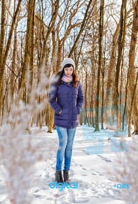 Young Beautiful Woman In The Woods In Winter Stock Photo