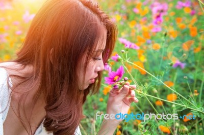 Young Beautiful Woman Smells A Flower Stock Photo