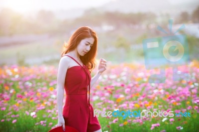 Young Beautiful Woman With A Cosmos Flower Stock Photo