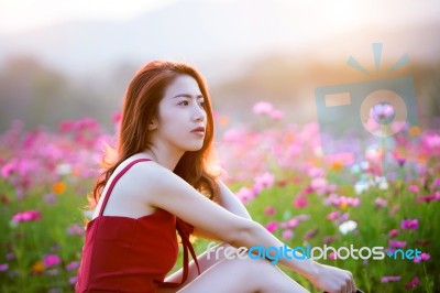 Young Beautiful Woman With A Cosmos Flower Stock Photo