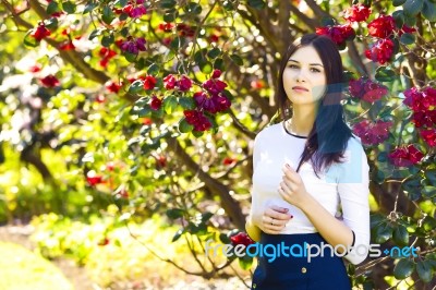 Young Beautiful Woman With Long Straight Dark Hair Posing In Spr… Stock Photo