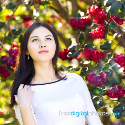 Young Beautiful Woman With Long Straight Dark Hair Posing In Spr… Stock Photo