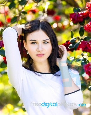 Young Beautiful Woman With Long Straight Dark Hair Posing In Spr… Stock Photo