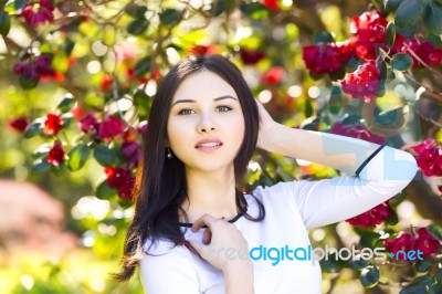 Young Beautiful Woman With Long Straight Dark Hair Posing In Spr… Stock Photo