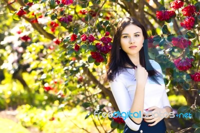 Young Beautiful Woman With Long Straight Dark Hair Posing In Spr… Stock Photo