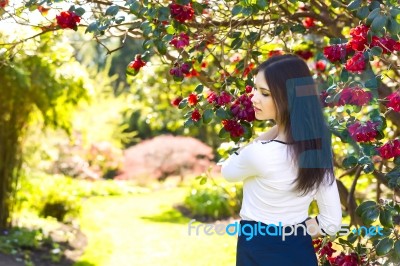 Young Beautiful Woman With Long Straight Dark Hair Posing In Spr… Stock Photo