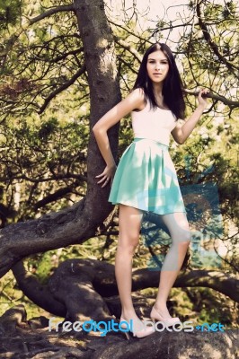 Young Beutiful Tall Woman With Long Straight Dark Hair Posing In… Stock Photo