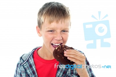 Young Boy Eating Chocolate Cookie Stock Photo