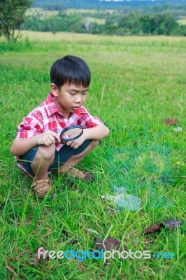 Young Boy Exploring Nature With Magnifying Glass. Outdoors In Th… Stock Photo