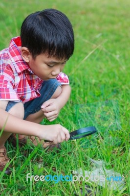 Young Boy Exploring Nature With Magnifying Glass. Outdoors In Th… Stock Photo