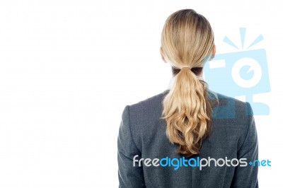 Young Business Woman Back View Stock Photo