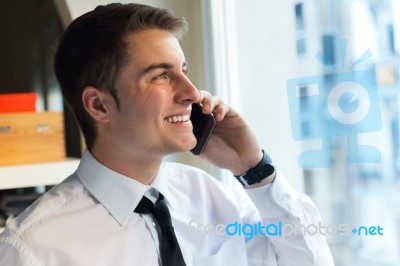 Young Businessman Using His Mobile Phone In Office Stock Photo