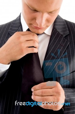 Young Businessman Wearing Tie Stock Photo