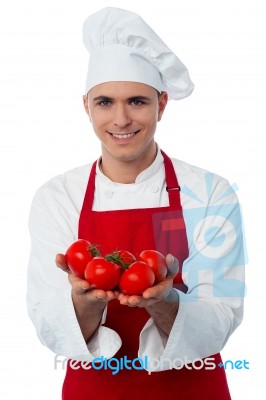 Young Chef Holding Fresh Tomatoes Stock Photo