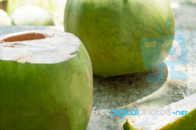 Young Coconuts Stock Photo