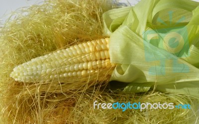 Young Corn With Leaves Stock Photo