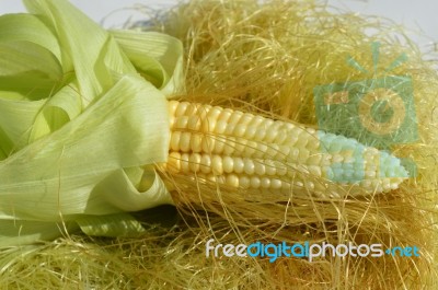 Young Corn With Leaves Stock Photo