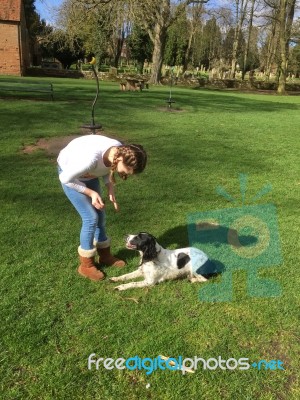 Young Dog Handler Stock Photo