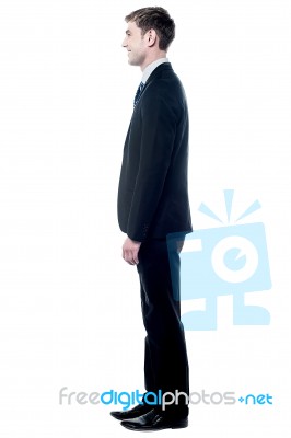 Young Executive Posing In Business Suit Stock Photo