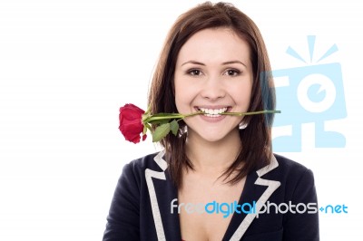 Young Female Holding Rose Between Her Teeth Stock Photo