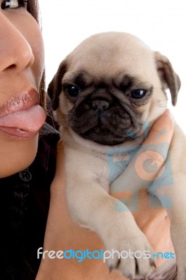 Young Female Licking Puppy Stock Photo