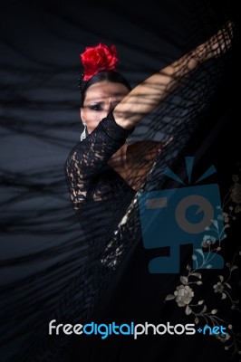 Young Flamenco Dancer In Beautiful Dress On Black Background Stock Photo