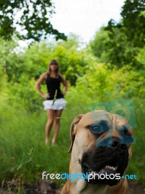 Young Girl With Her Dog Stock Photo