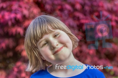 Young Girl With Red Maple Leaves As Background Stock Photo