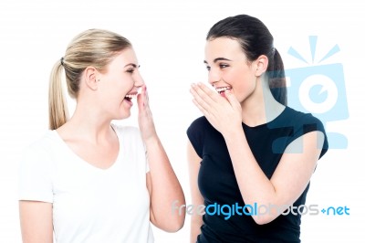 Young Girls Gossiping And Having Fun Stock Photo