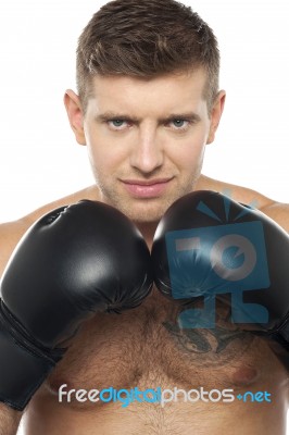 Young Male Boxer Stock Photo