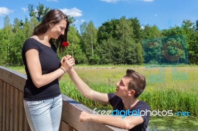 Young Male Friend Offers Red Rose To Attractive Girl On Bridge Stock Photo