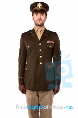 Young Military Officer In Attention Position Stock Photo