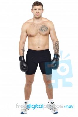 Young Muscular Boxer Standing Stock Photo