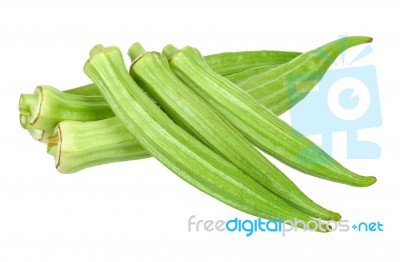 Young Okra Isolated On The White Background Stock Photo