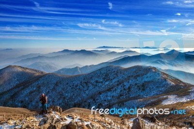 Young Woman Hiker Taking Photo With Camera On Mountains Peak In Winter Stock Photo