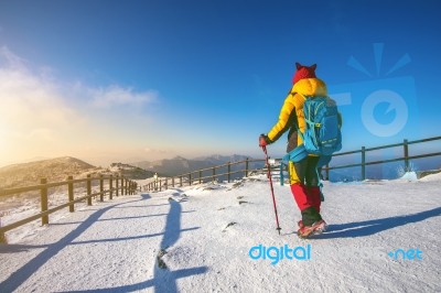 Young Woman Hiking With A Backpack On Mountains In Winter Stock Photo