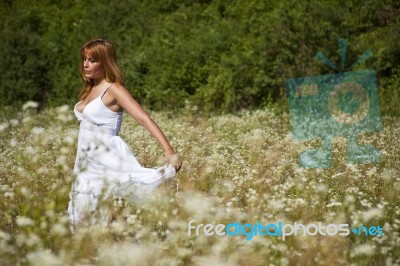 young Woman In Meadow Stock Photo