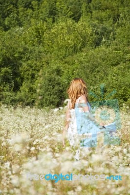 young Woman In Meadow Stock Photo