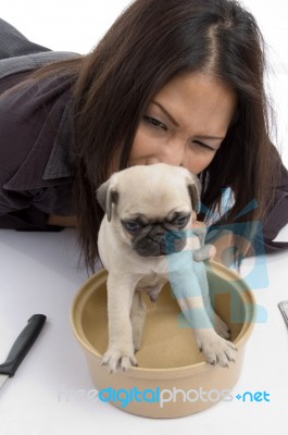 Young Woman Playing With Puppy Stock Photo